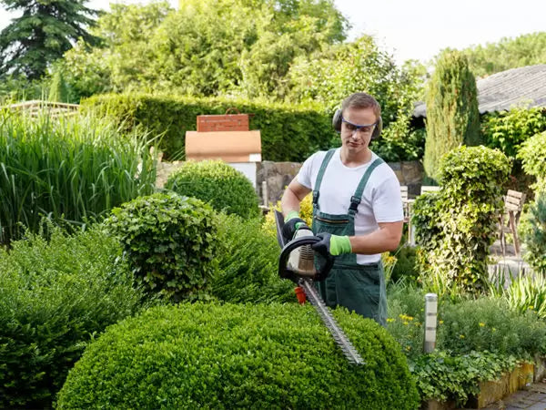 Giardinaggio